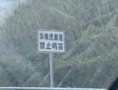 【168sports】广东一高速路立“华南虎廊道禁止鸣笛”标牌，多方回应