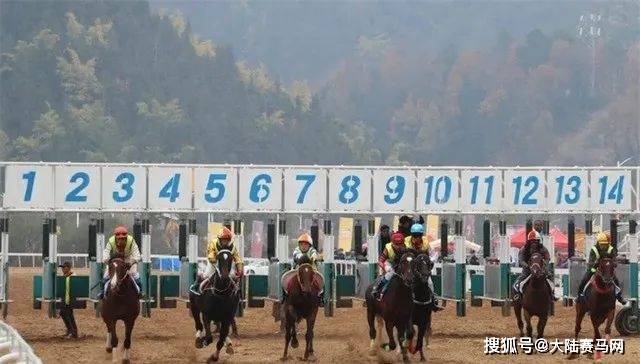【168sports】贵州三都举办2024迎新年赛马公开赛